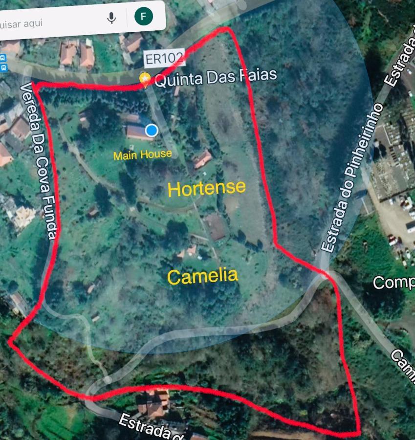 Quinta Das Faias Camacha  Extérieur photo