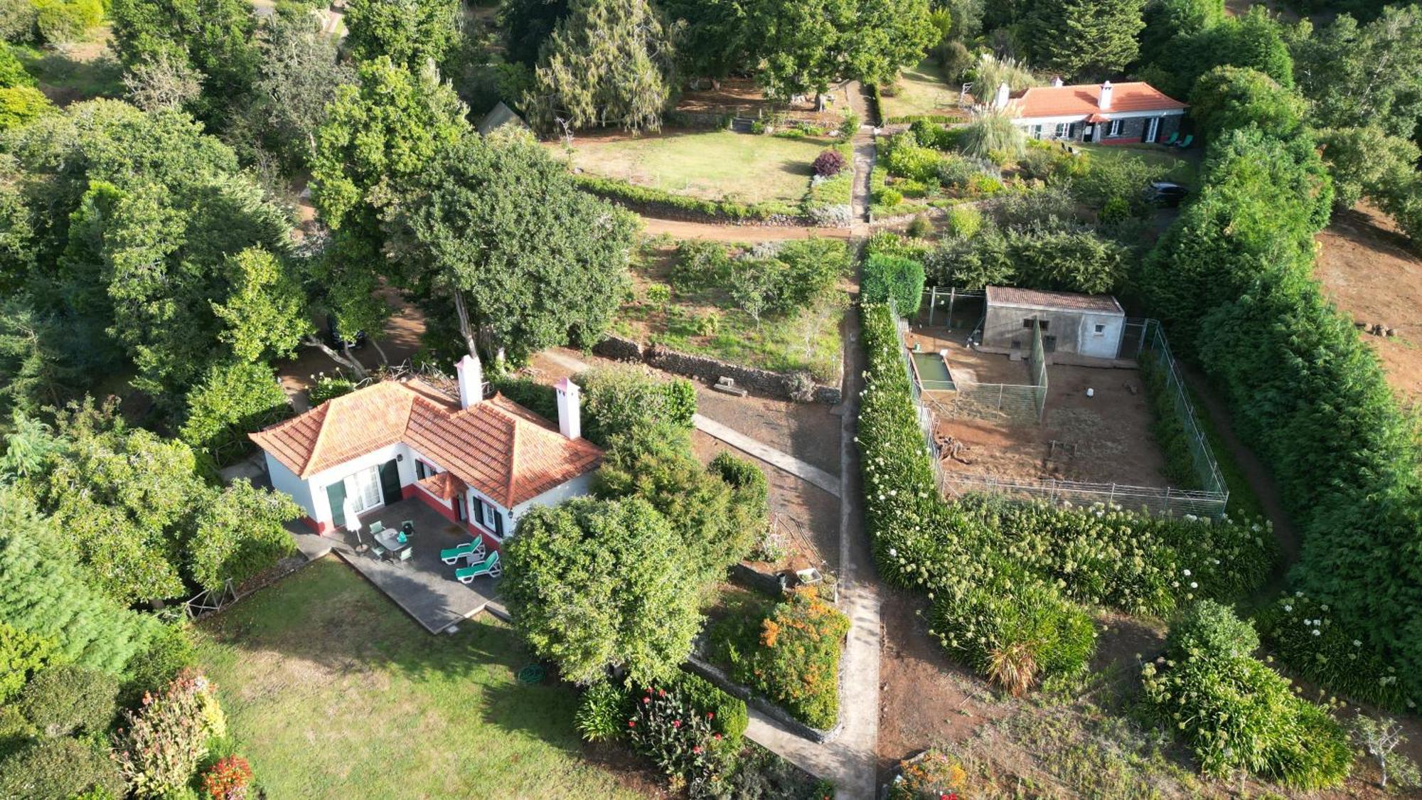 Quinta Das Faias Camacha  Chambre photo
