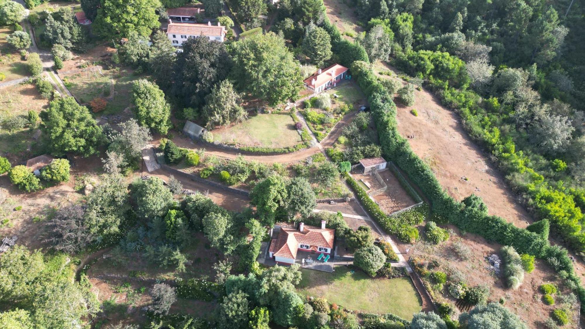 Quinta Das Faias Camacha  Extérieur photo