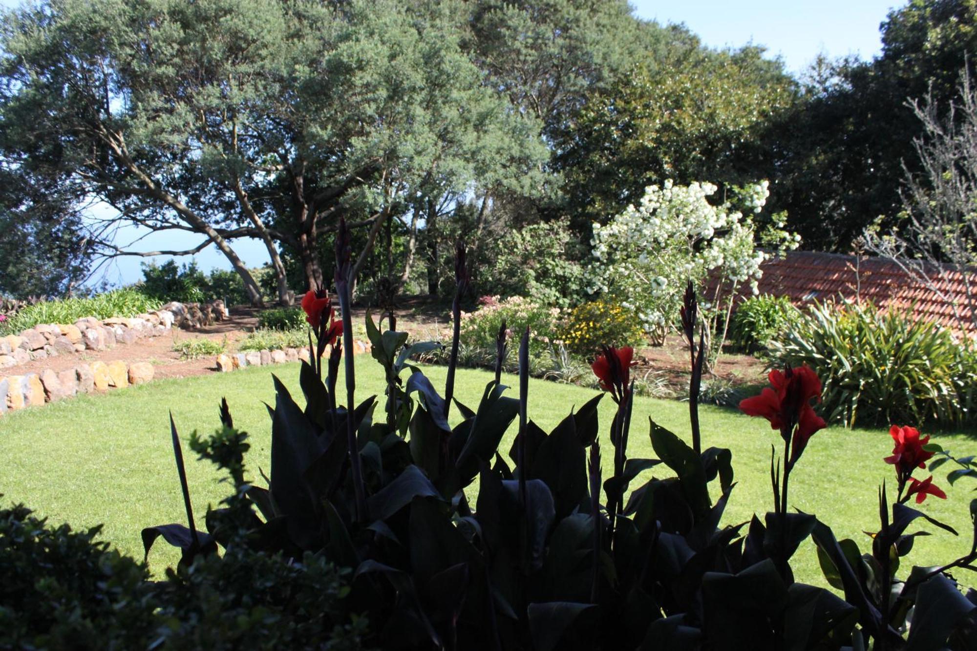 Quinta Das Faias Camacha  Chambre photo