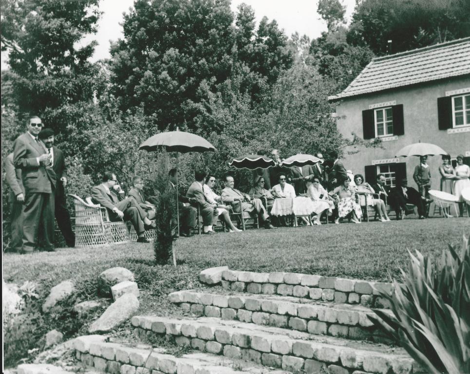 Quinta Das Faias Camacha  Extérieur photo