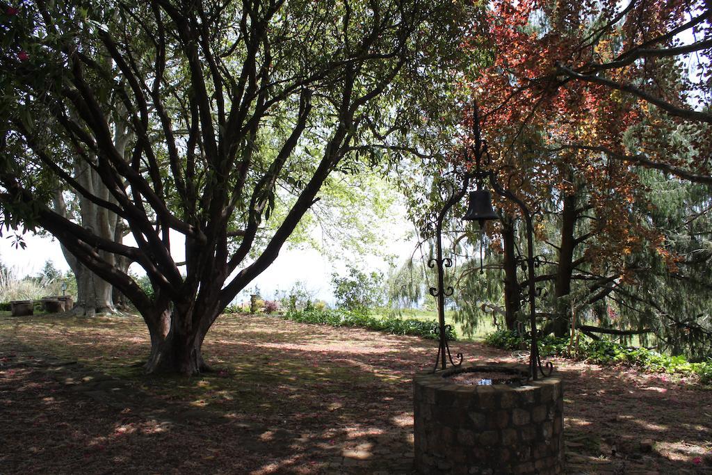 Quinta Das Faias Camacha  Extérieur photo