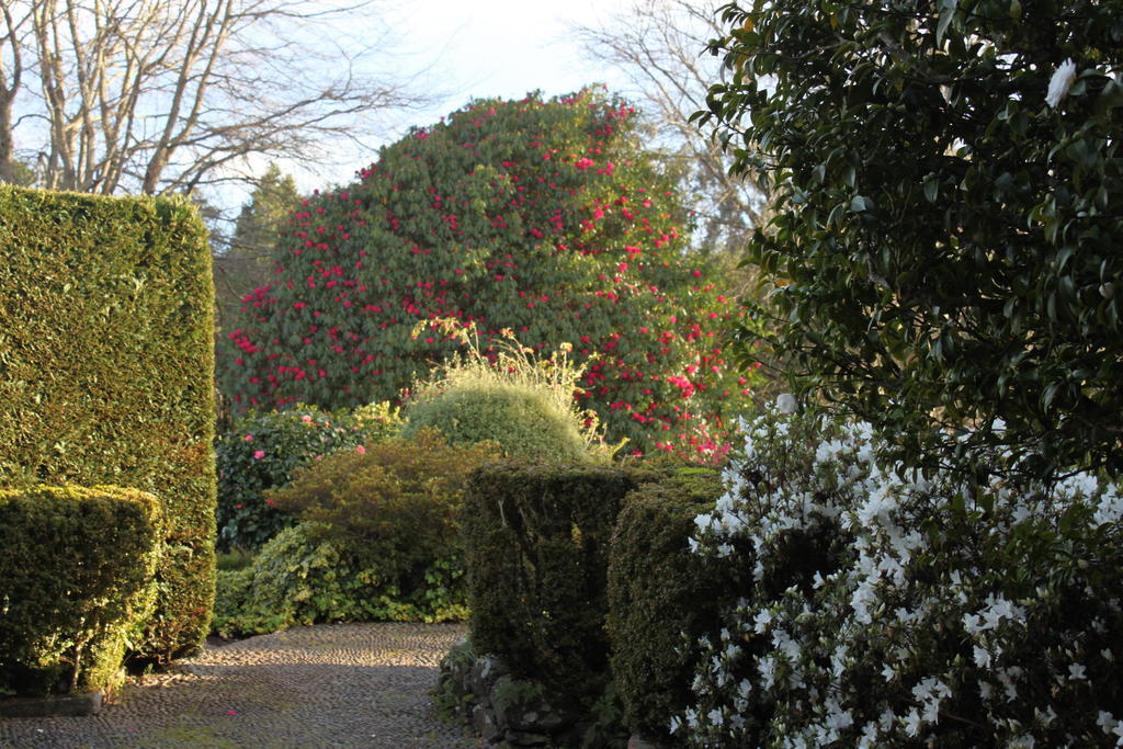 Quinta Das Faias Camacha  Extérieur photo