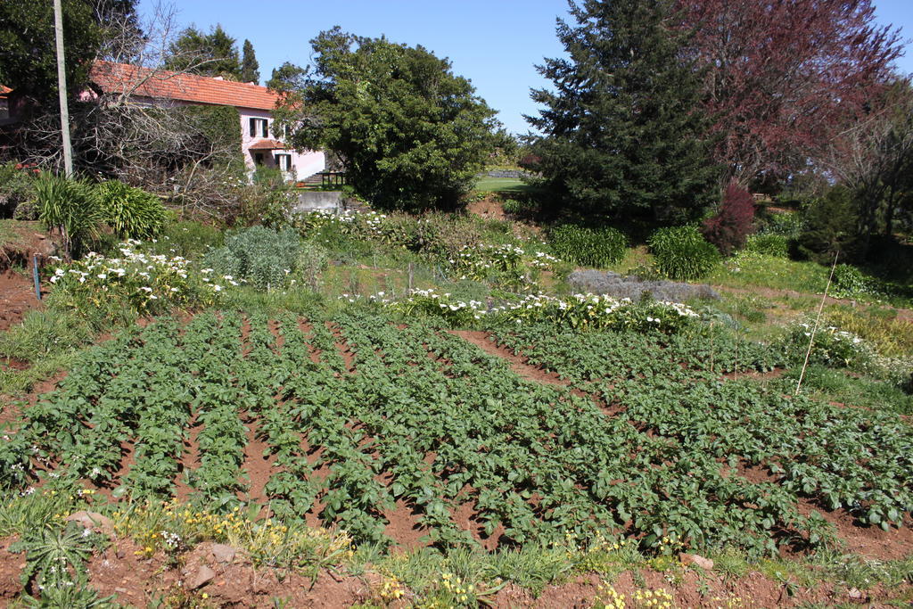 Quinta Das Faias Camacha  Extérieur photo