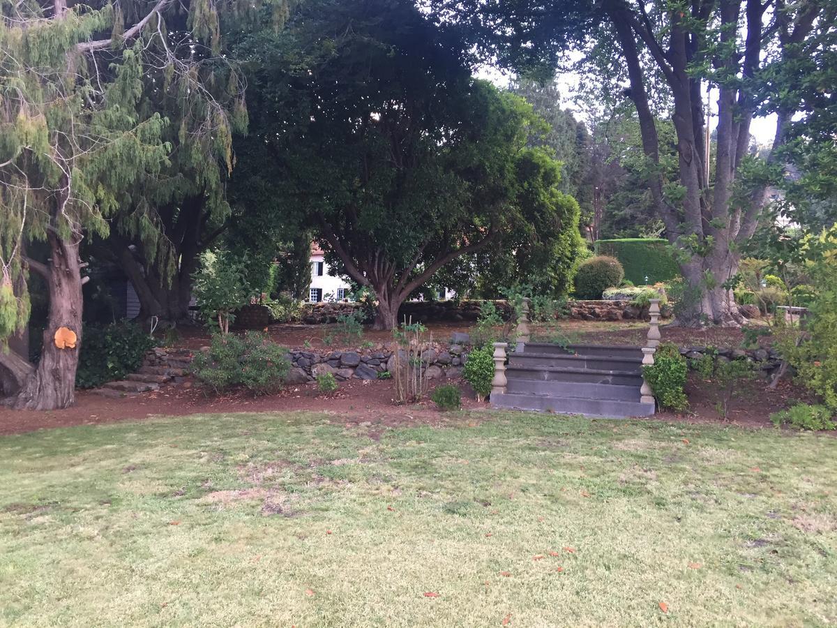Quinta Das Faias Camacha  Extérieur photo