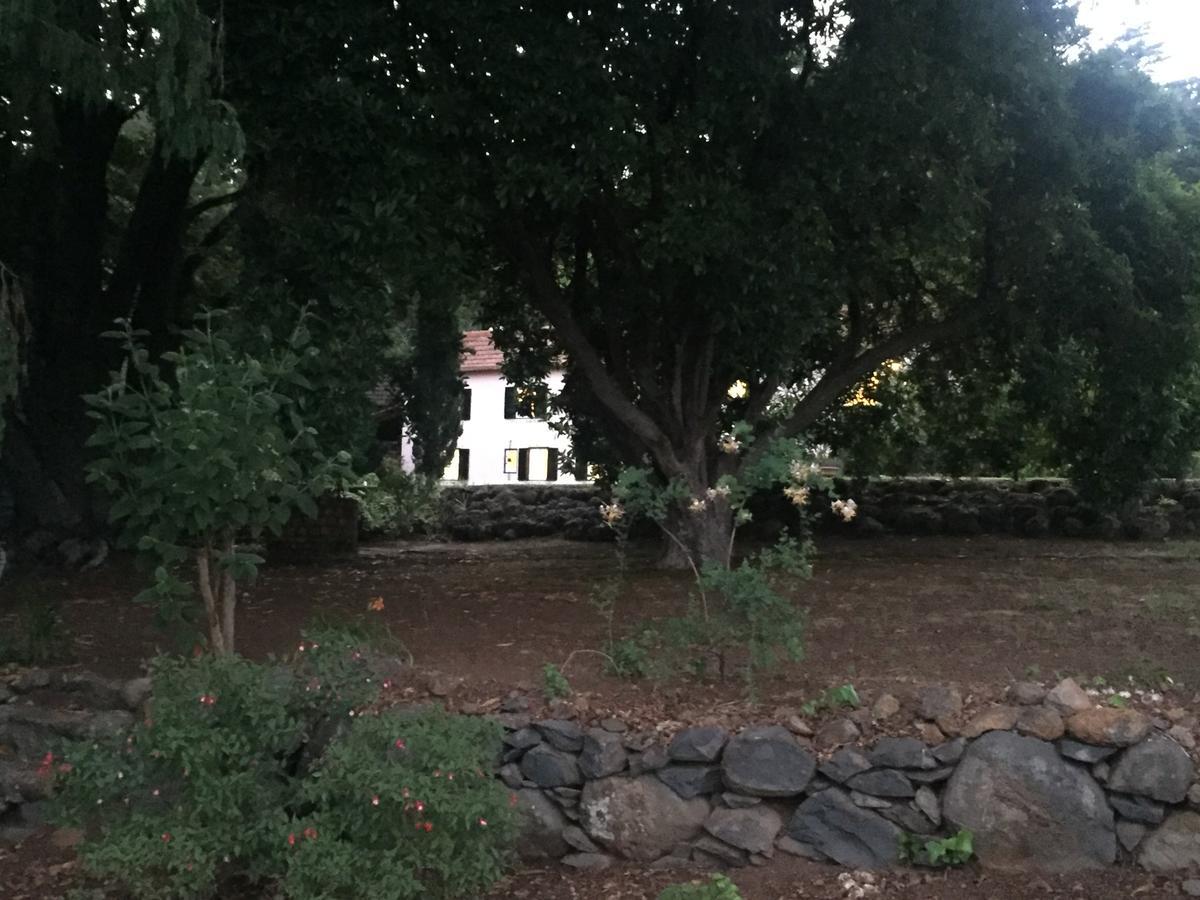 Quinta Das Faias Camacha  Extérieur photo